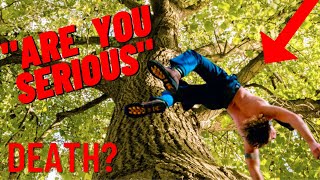 Arborist Reacts to Horrific Tree Care Fails [upl. by Gneh]