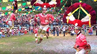 DANZANTES DE OAXACA LLEGAN A URAPICHO MICHOACAN ¡¡ [upl. by Akaenahs387]