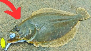 The TRUTH About FlukeFlounder Season 2024  Fishing Outdoor Catch Clean Cook [upl. by Nahgrom]