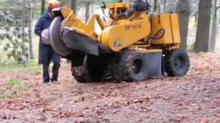 Tree Stump Removal  Self Propelled Grinder [upl. by Ennairej]