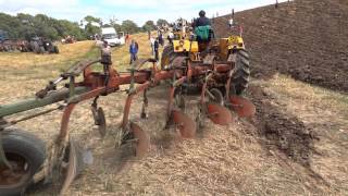 Rosemount Traction Engine Rally Sat10 August 2013 2013 [upl. by Girovard]