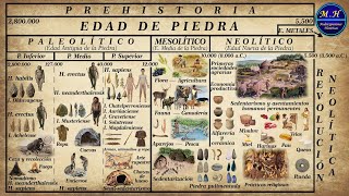 Prehistoria La Edad de Piedra Paleolítico Mesolítico y Neolítico [upl. by Hafital]