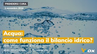 ACQUA COME FUNZIONA IL BILANCIO IDRICO [upl. by Sirapal995]