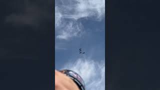 4 T38 Talons from Whiteman AFB preforming the Steelers home opener flyover [upl. by Asir972]