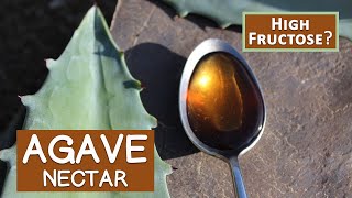 Agave Nectar Is It Like High Fructose Corn Syrup [upl. by Kikelia829]