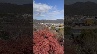 hourinji temple Arashiyama Kyoto Japan [upl. by Belter]