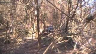 Greenhorn Trapping Part 8 Beaver Fox Coon Otter Bobcat Coyote [upl. by Memberg96]