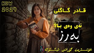 Qadr Gagli Bala Barz  باڵا بەرزخۆشترین گۆرانی تیک تۆک 2024 [upl. by Lanod]