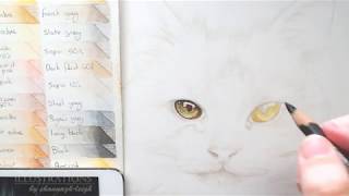 How to draw a cat part 2 eyes and nose tutorial [upl. by Esenwahs]