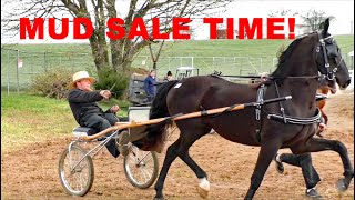 AMISH LAND MUD SALE 2024 RAWLINSVILLE Volunteer Fire Company Mud Sale Lancaster County PA [upl. by Ashlen]