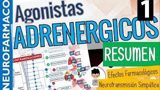 SIMPATICOMIMÉTICOS RESUMEN CLASIFICACIÓN Sinapsis Adrenérgica Receptores adrenérgicos PARTE 1 [upl. by Ocirred]