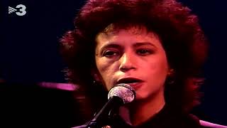 Janis Ian  At Seventeen 4K Remastered 1988 [upl. by Ybrek]