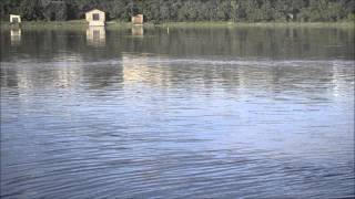 Joeys Bushmans River flood  Boesmansrivier Mond [upl. by Ecilayram]