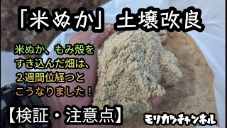 米ぬかを使って土壌改良！【家庭菜園】検証してみたので注意点を知っておこう！ [upl. by Seiuqram]