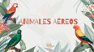 ANIMALES AÉREOS [upl. by Sheff]