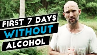 What Happens In The First 7  10 Days After You Quit Drinking Alcohol [upl. by Ellenehc865]