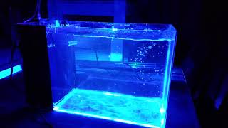 Nano Reef Tank 10 Gallon Rimless All in One Build AIO Saltwater with a Kessil A80 [upl. by Stroup]