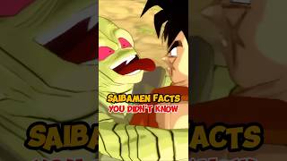 Interesting Saibaman Facts  dragonball dbz [upl. by Llednyl975]