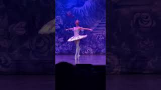 The nutcracker teatro Carcano [upl. by Fredette]