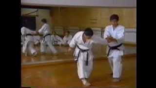 Hirokazu Kanazawa Kumite 金澤弘和宗家 組手 [upl. by Arolf765]