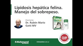 Dr Mario Ruben Gatti Lipidosis hepática felinaManejo del sobrepeso [upl. by Suoivatnod382]