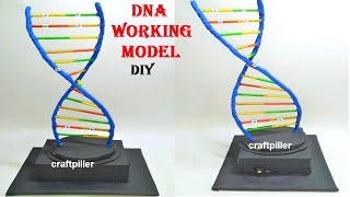 dna working model science project  DIY  craftpiller howtofunda [upl. by Yennep157]