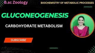 Gluconeogenesis B Sc 3rd YearCarbohydrate MetabolismCore Paper X [upl. by Enia]