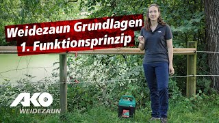 Weidezaun Grundlagen 1 Funktionsprinzip [upl. by Ecire]