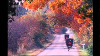 An Ideal Place for Livestock and Live People  The History of Oscoda County Michigan [upl. by Aikar422]