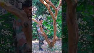 Salute Indian Army😭🙏  Mere Desh ke Veer Jawan ke Zindagi😭🙏  youtubeshorts indianarmy armystatus [upl. by Stedman]