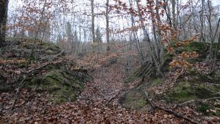 Spuren im Wald [upl. by Levitt35]