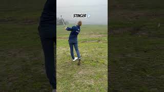 Stinger golf shot golf stinger viralvideo viralshorts iron [upl. by Weylin152]