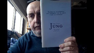 Libros recomendados ojo con el arte 736 Jung sobre Picasso [upl. by Yrallam296]