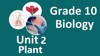 Grade 10 Biology Unit 2 Plant Part 1  new curriculum [upl. by Ezri906]