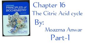 The Citric acid cycle chapter 16 lehninger principles of biochemistry Part1 in Urdu acetylcoA [upl. by Millwater]