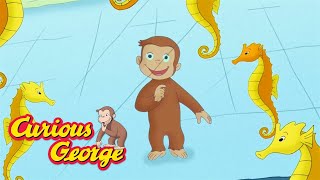 George Learns about Sea Animals 🐵 Curious George 🐵 Kids Cartoon 🐵 Kids Movies [upl. by Charline503]