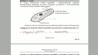 PROTISTY  Budowa pantofelka  ZADANIA MATURALNE Z BIOLOGII 🌱 [upl. by Chrissy745]