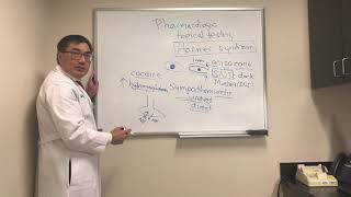 Pharmacological testing of Horner’s syndrome [upl. by Lasky]