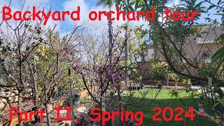 Backyard orchard tour Part II Spring 2024 [upl. by Klingel357]