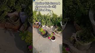 motivation life mahabharat story mahadev bholenath successtips garden tulsiupay [upl. by Refinnaj745]