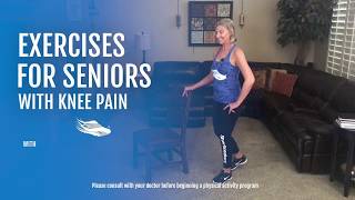 Exercises for Seniors with Knee Pain [upl. by Auqenwahs]