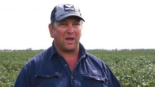 Cotton at Dunedoo NSW with grower James Frampton [upl. by Engud]