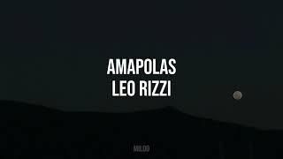 Amapolas  Leo Rizzi Letra [upl. by Lecirg]