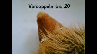 Verdoppeln und Halbieren bis 20 [upl. by Carie]