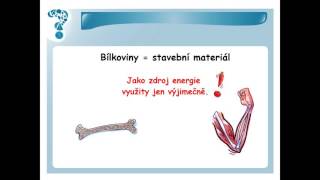 Energie příjem a výdej  videokomentář pro SŠ [upl. by Flessel594]