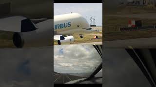 Beluga xl cocktail takeoff beluga takeoff [upl. by Laurent]