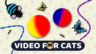 CAT GAMES  Catch the Rolling Ball Mice Ants Strings Butterflies  Video for Cats  CAT amp DOG TV [upl. by Amre]