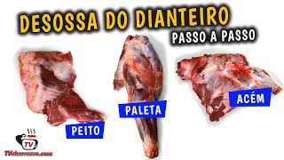 Cortes do Boi  Desossa Dianteiro Acém Paleta e Peito Vamos por Partes  Tv Churrasco [upl. by Arihs]