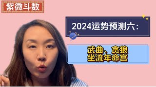 2024流年运势预测六：武曲、贪狼坐流年命宫｜运势分析｜紫微斗数 [upl. by Aicittel]