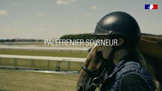 Concours Un des Meilleurs Apprentis de France  Métier de palefreniersoigneur [upl. by Anelle]